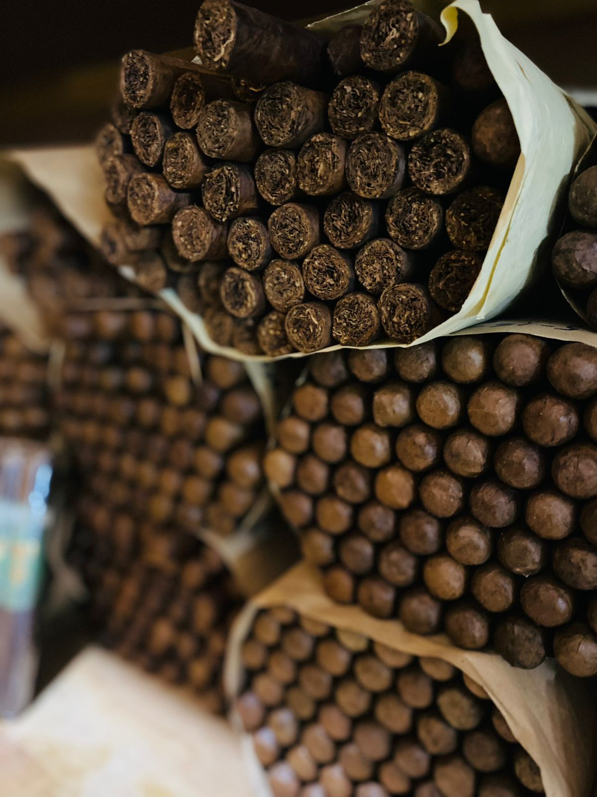 Puros Artesanales Premium