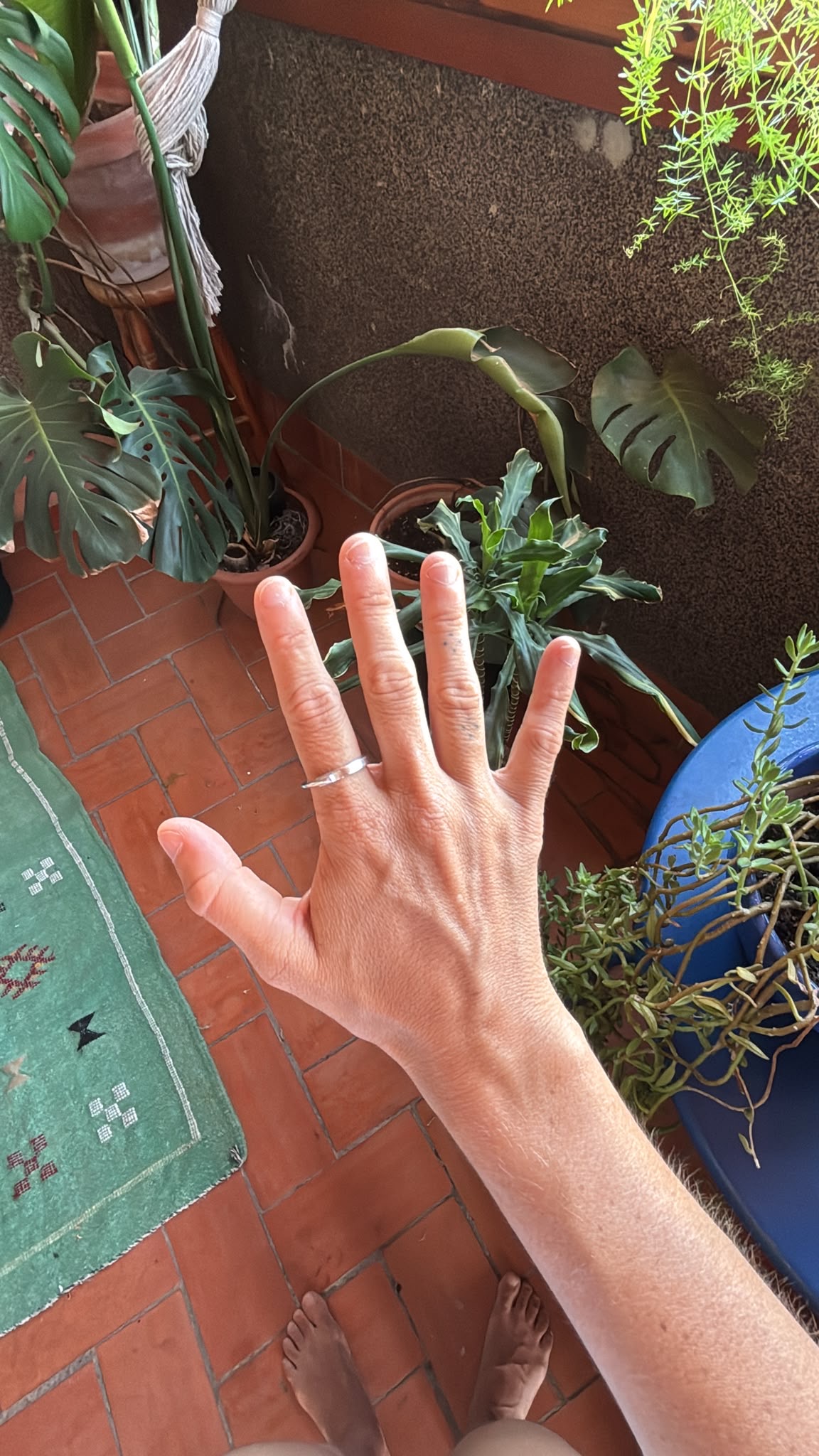 Anillo APOLO