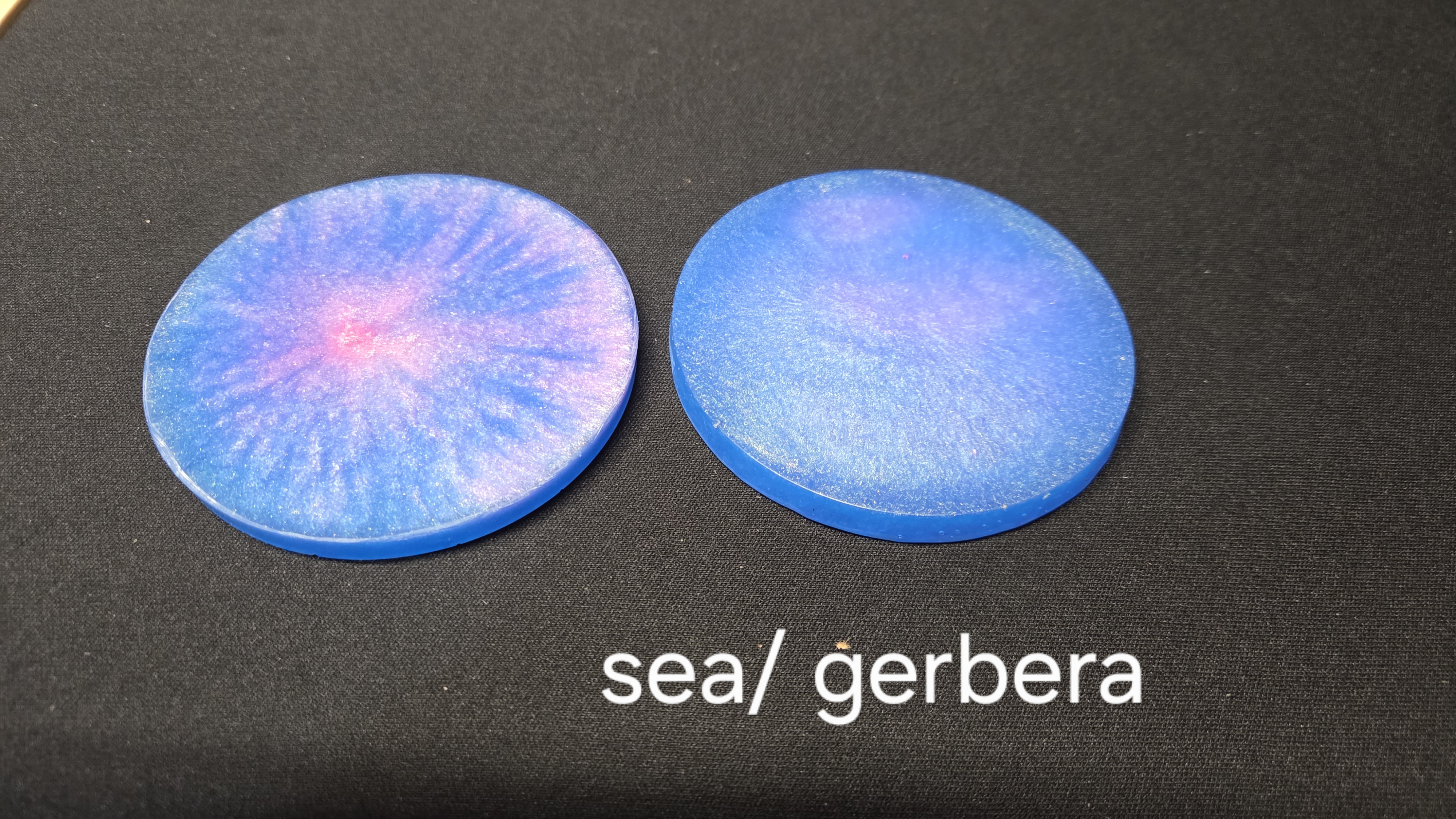 Resin Coaster Set of 2