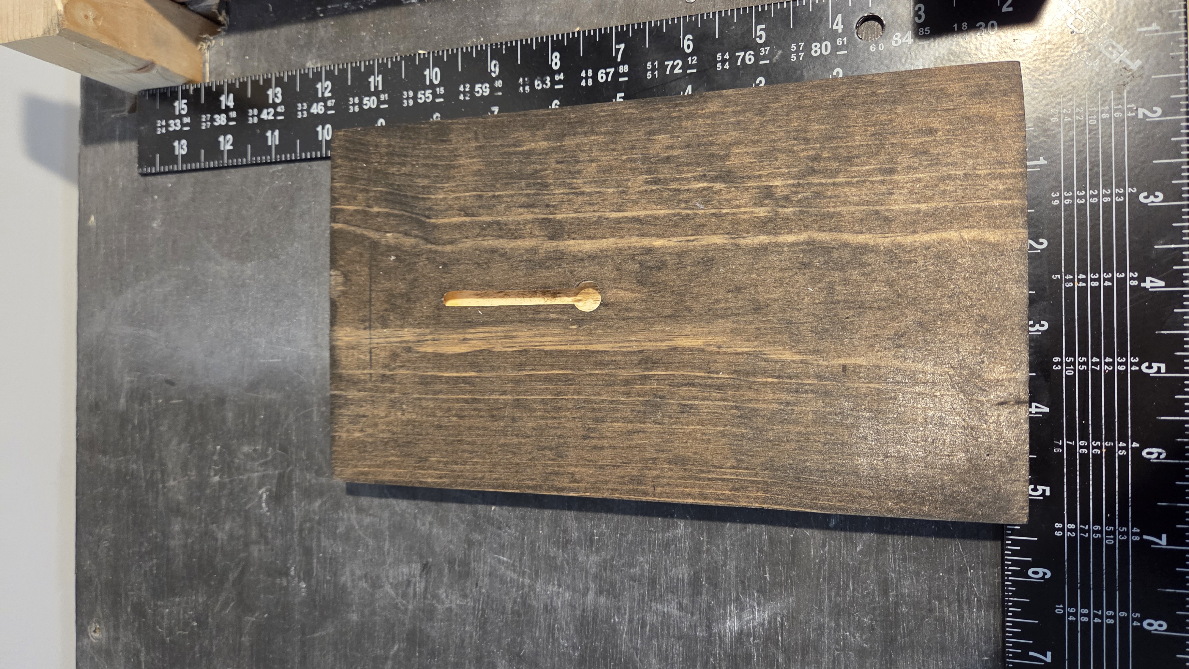 Resin filled Paw Print Wall Art