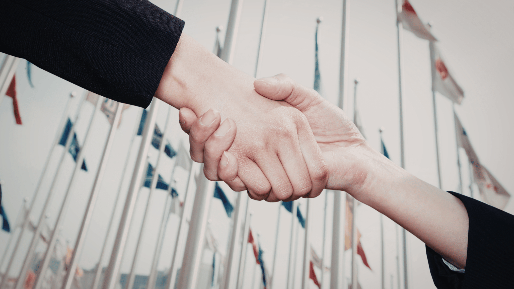 Diplomacy and Negotiation