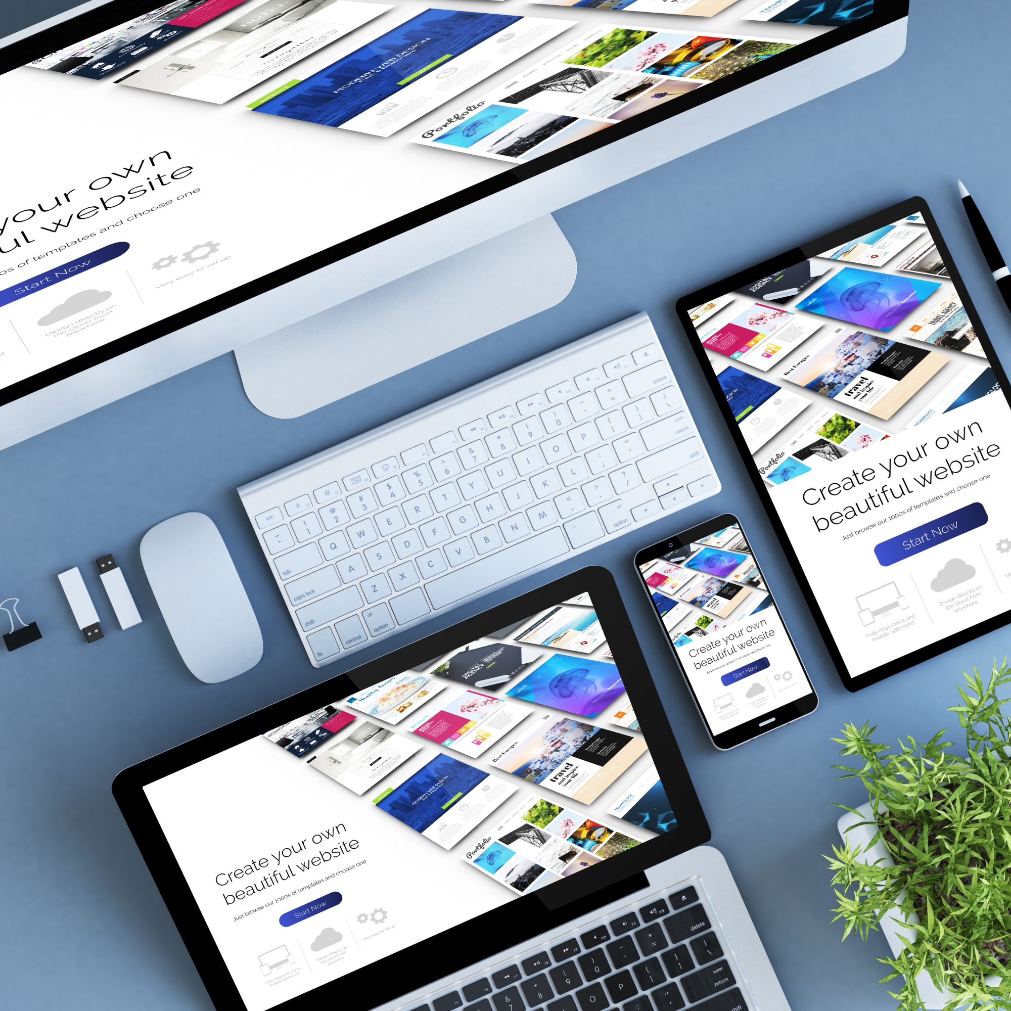 Website Design Consultation