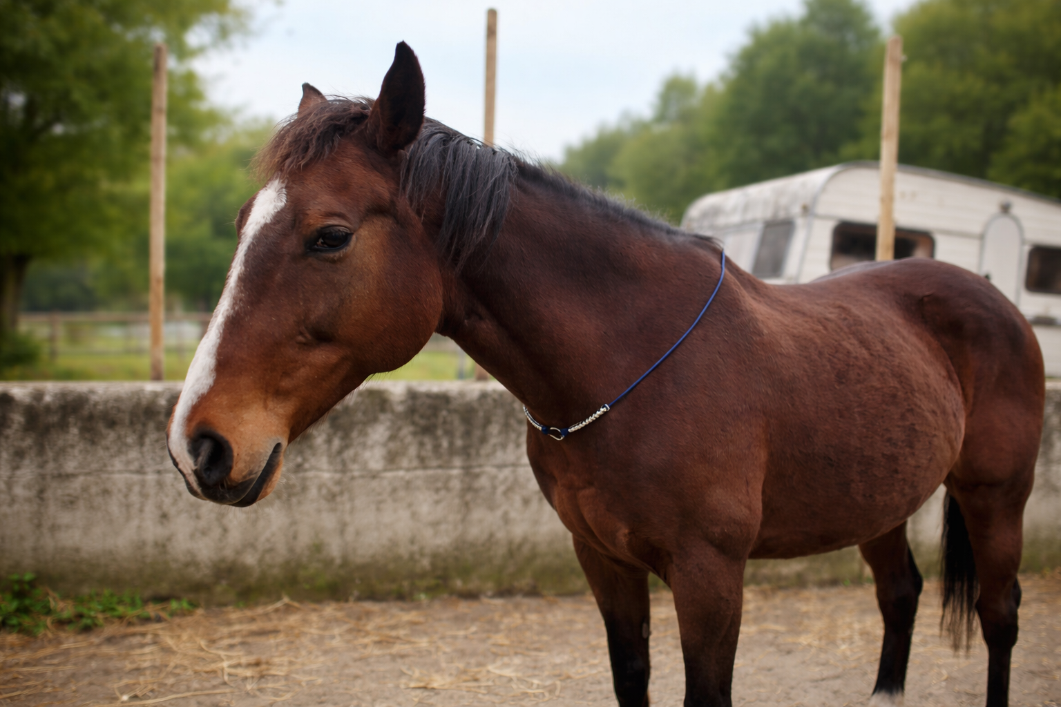 Cordelette de travail