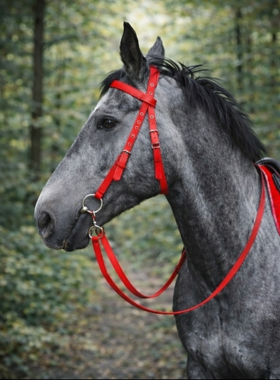 Bride en nylon rouge intense