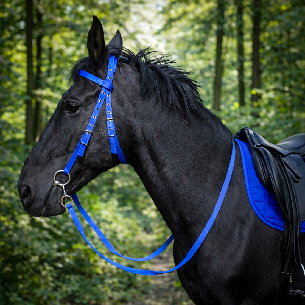 Bride en nylon bleu royal