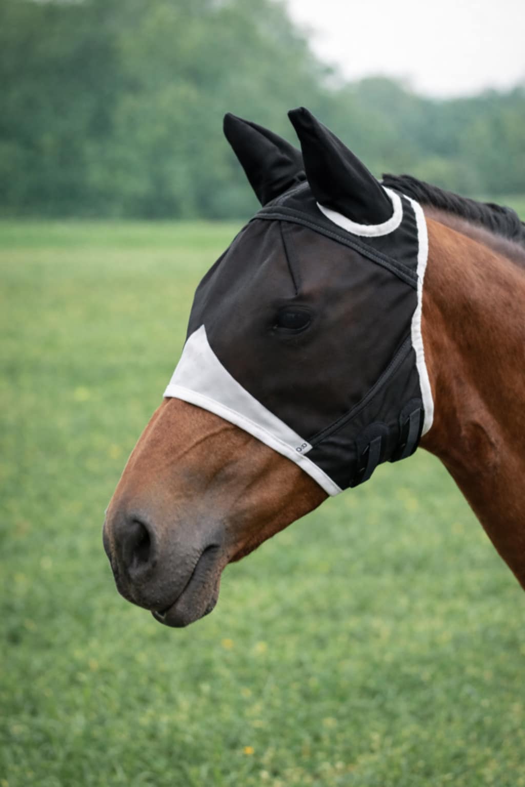 Masque anti-mouches Traléo