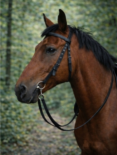 Bride en nylon noir profond