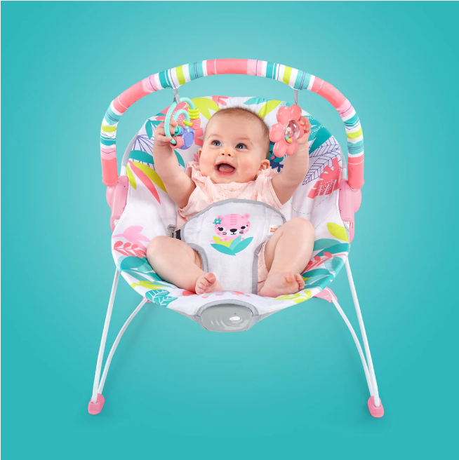 Bright Starts Flamingo Vibes Vibrating Bouncer Pink