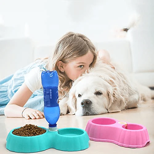 Dual Pet Feeding Bowl