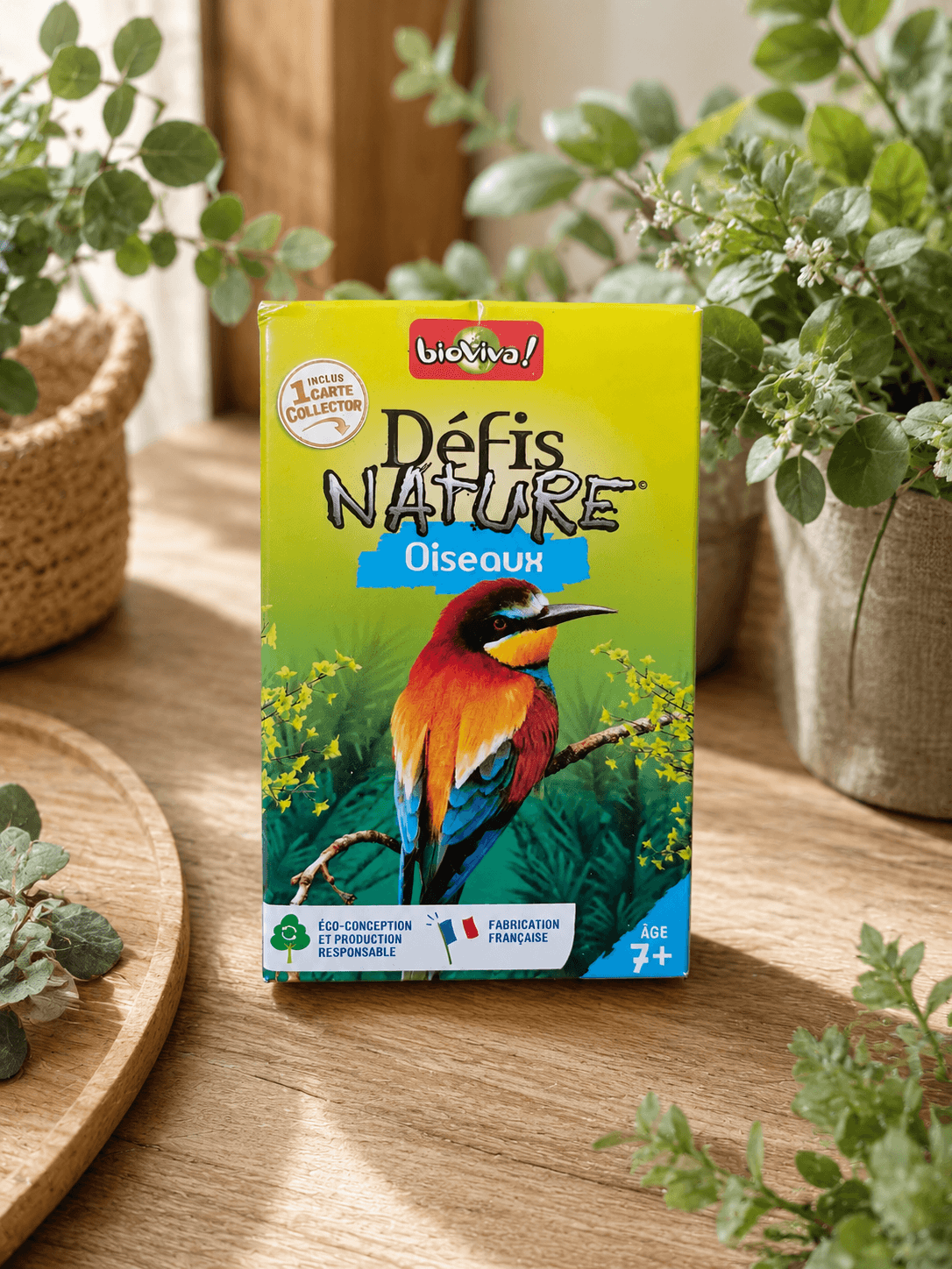 Jeu de cartes Défis Nature – Oiseaux 