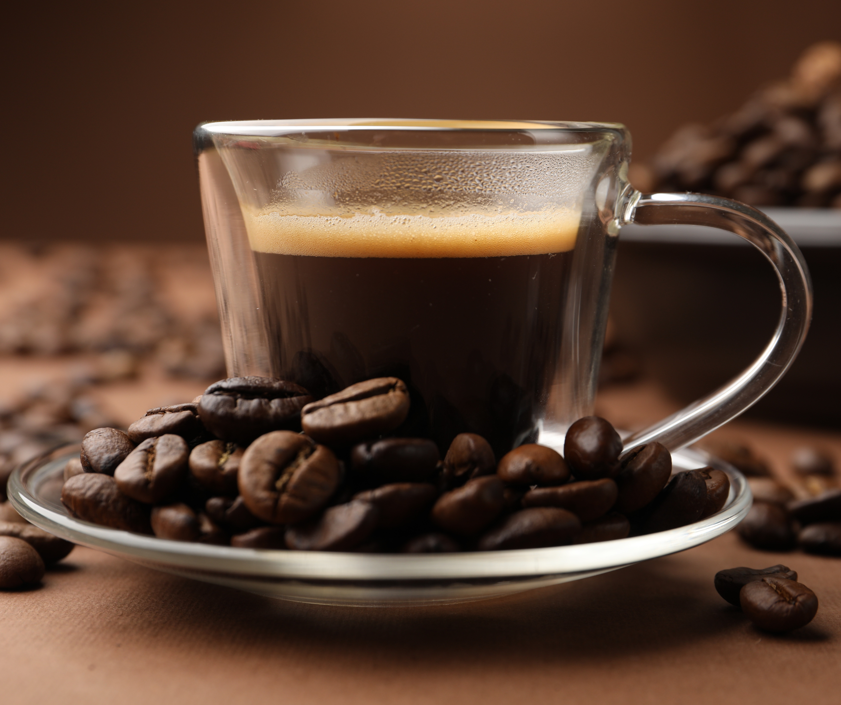 Kanto Coffee Robusta 