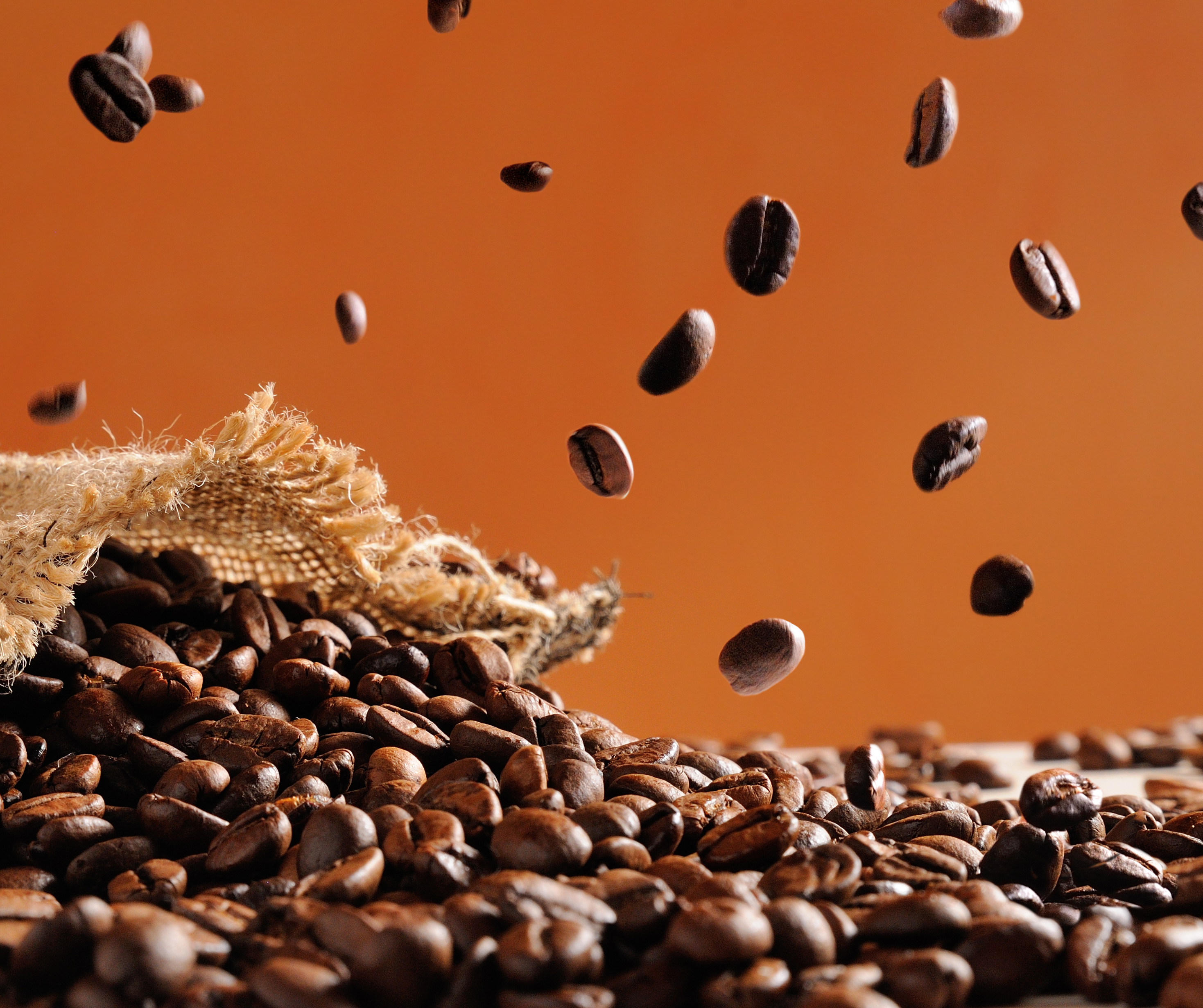 Kanto Coffee Arabica 