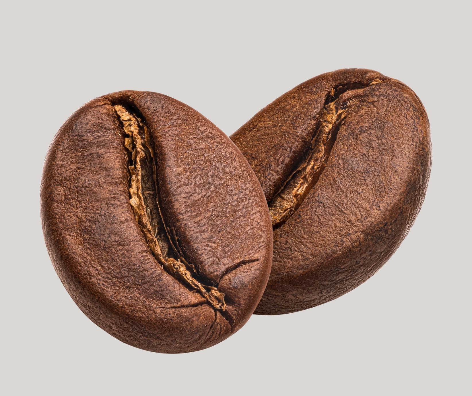 Kanto Coffee Arabica 