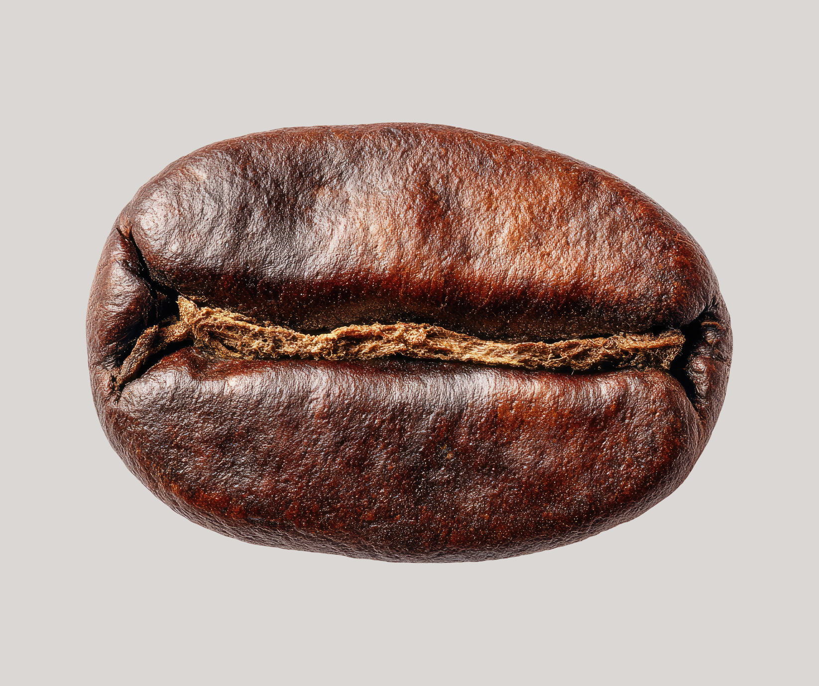 Kanto Coffee Arabica 