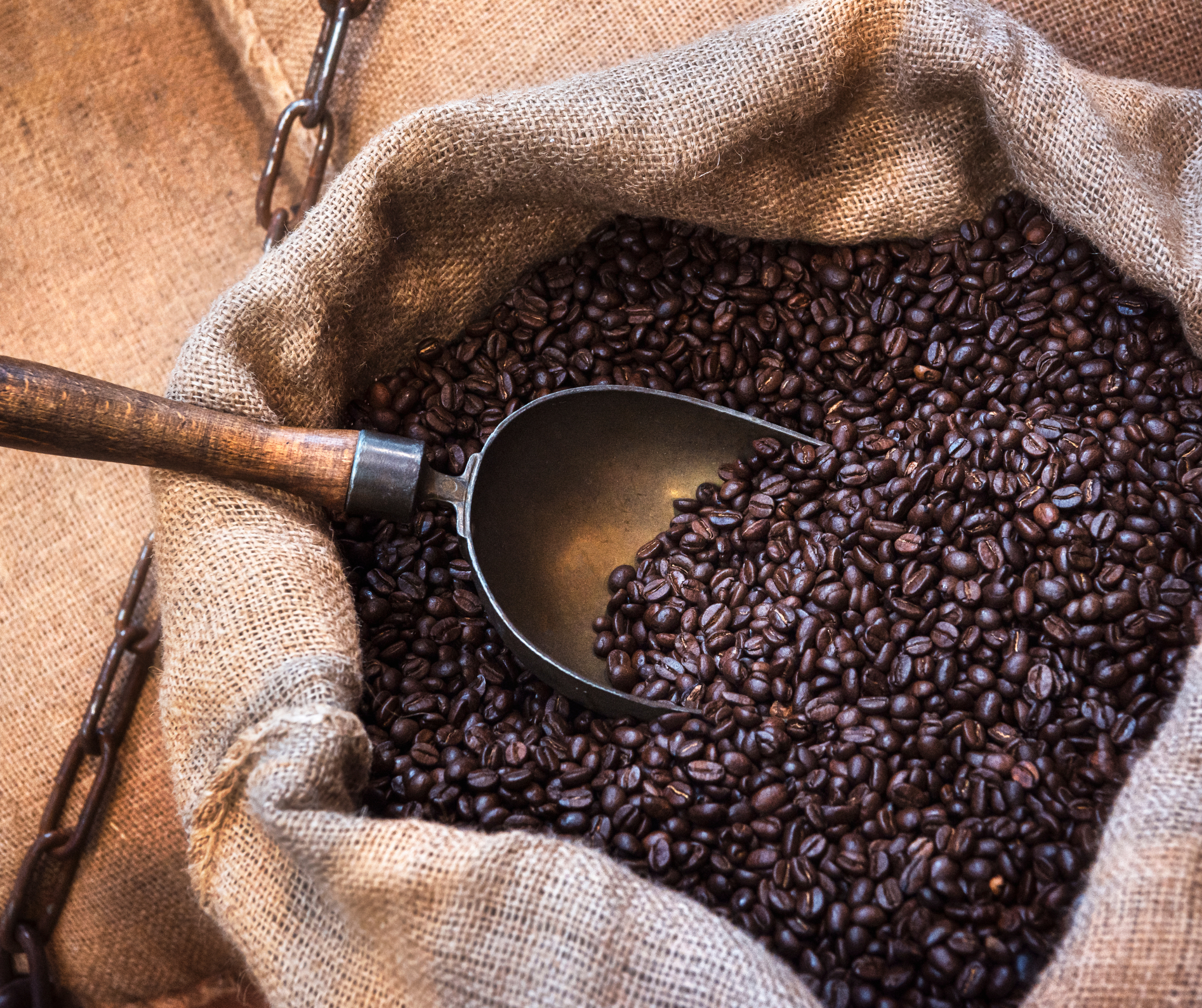 Kanto Coffee Arabica 