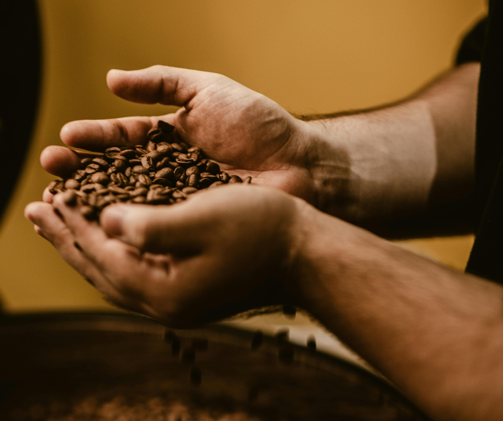 Kanto Coffee Robusta 