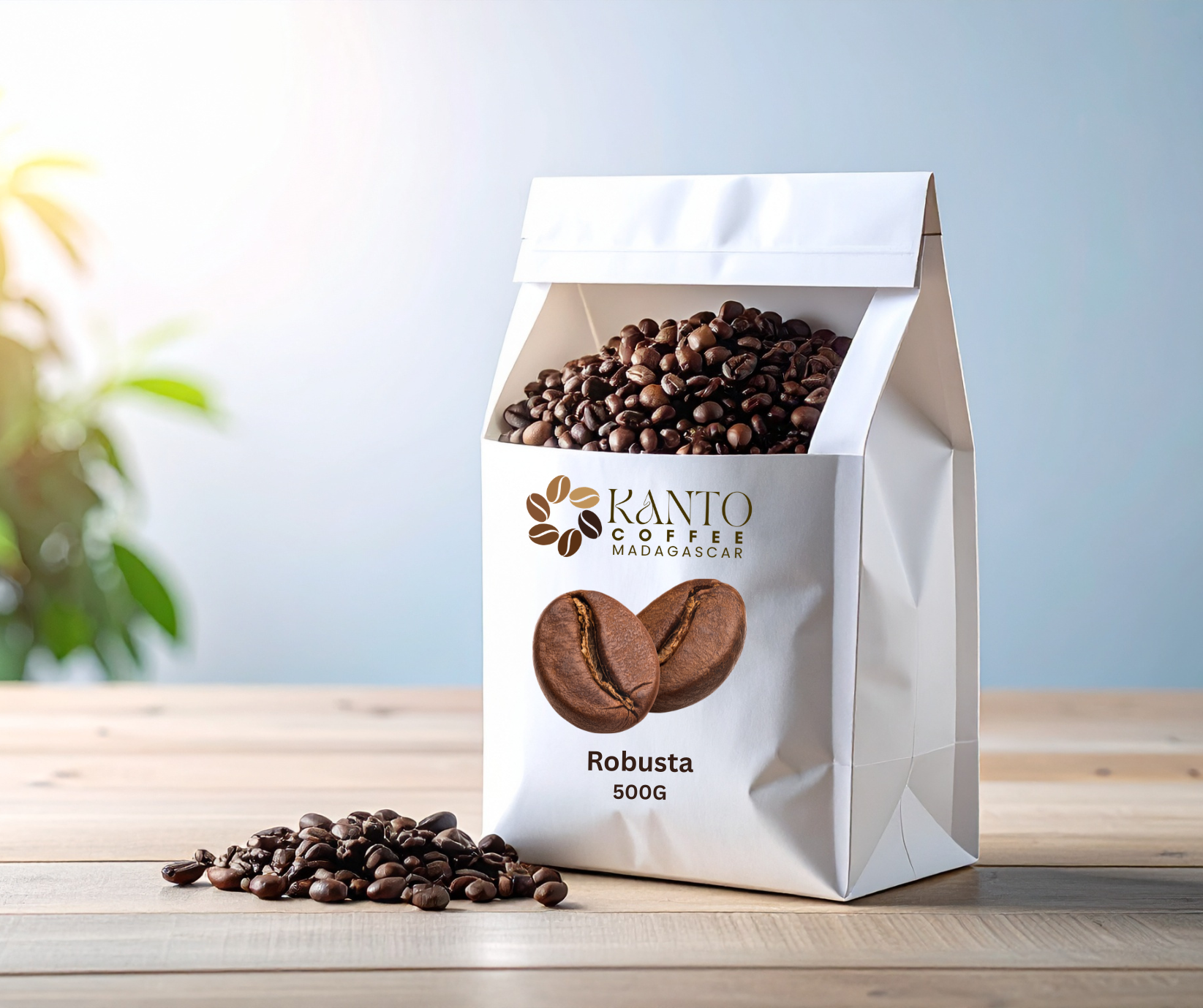 Kanto Coffee Robusta