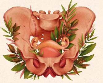 CONSULTA DE GINECOLOGÍA NATURAL🌺