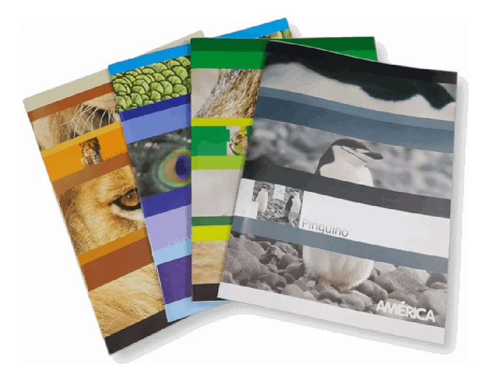 CUADERNO ESCOLAR TAPA FLEXIBLE AMERICA x 24 hojas Cuadriculado