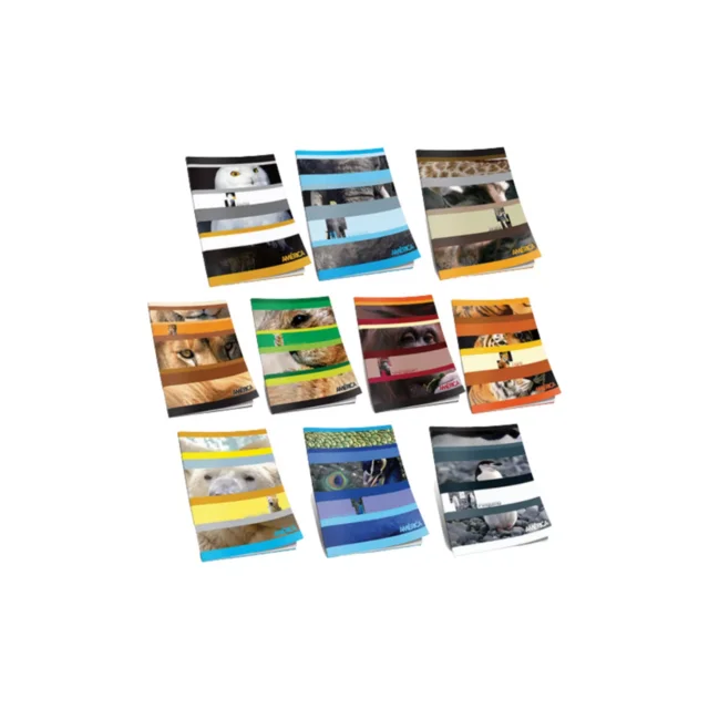 CUADERNO ESCOLAR TAPA FLEXIBLE AMERICA x 24 hojas Cuadriculado