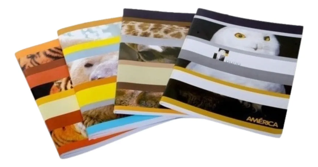 CUADERNO ESCOLAR TAPA FLEXIBLE AMERICA x 24 hojas Cuadriculado