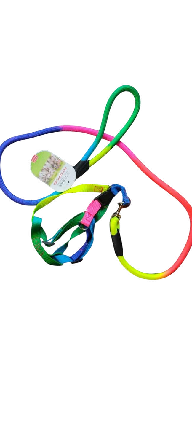 Correa para perro multicolor COLLAR ARCOIRIS TALLA L