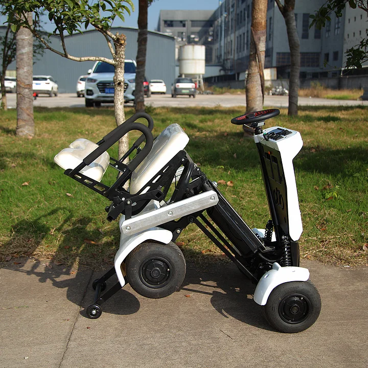 DH0325-Electric Golf Cart with Canopy
