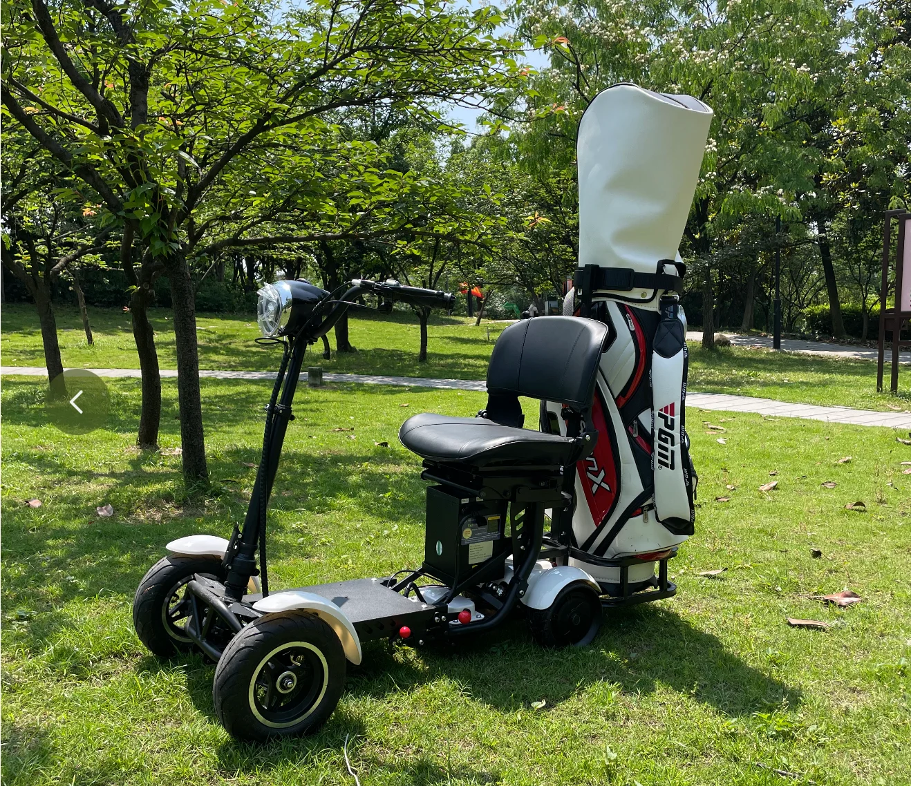 DH0319-1G-Electric Golf Scooter