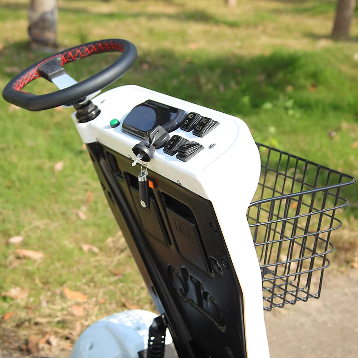 DH0325-Electric Golf Cart with Canopy
