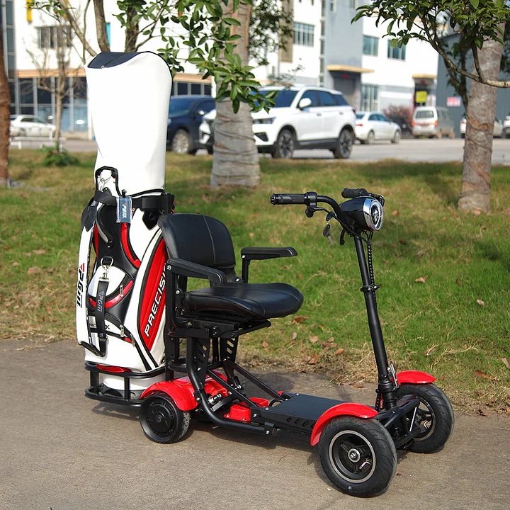 DH0319-1G-Electric Golf Scooter