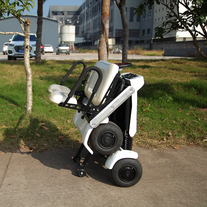 DH0325-Electric Golf Cart with Canopy