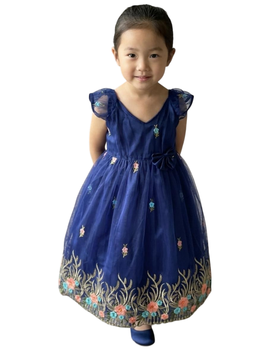 Girls Blue Floral Embroidered Dress