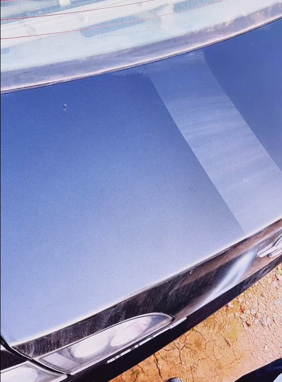 VITRAX™ - 60ml Campione