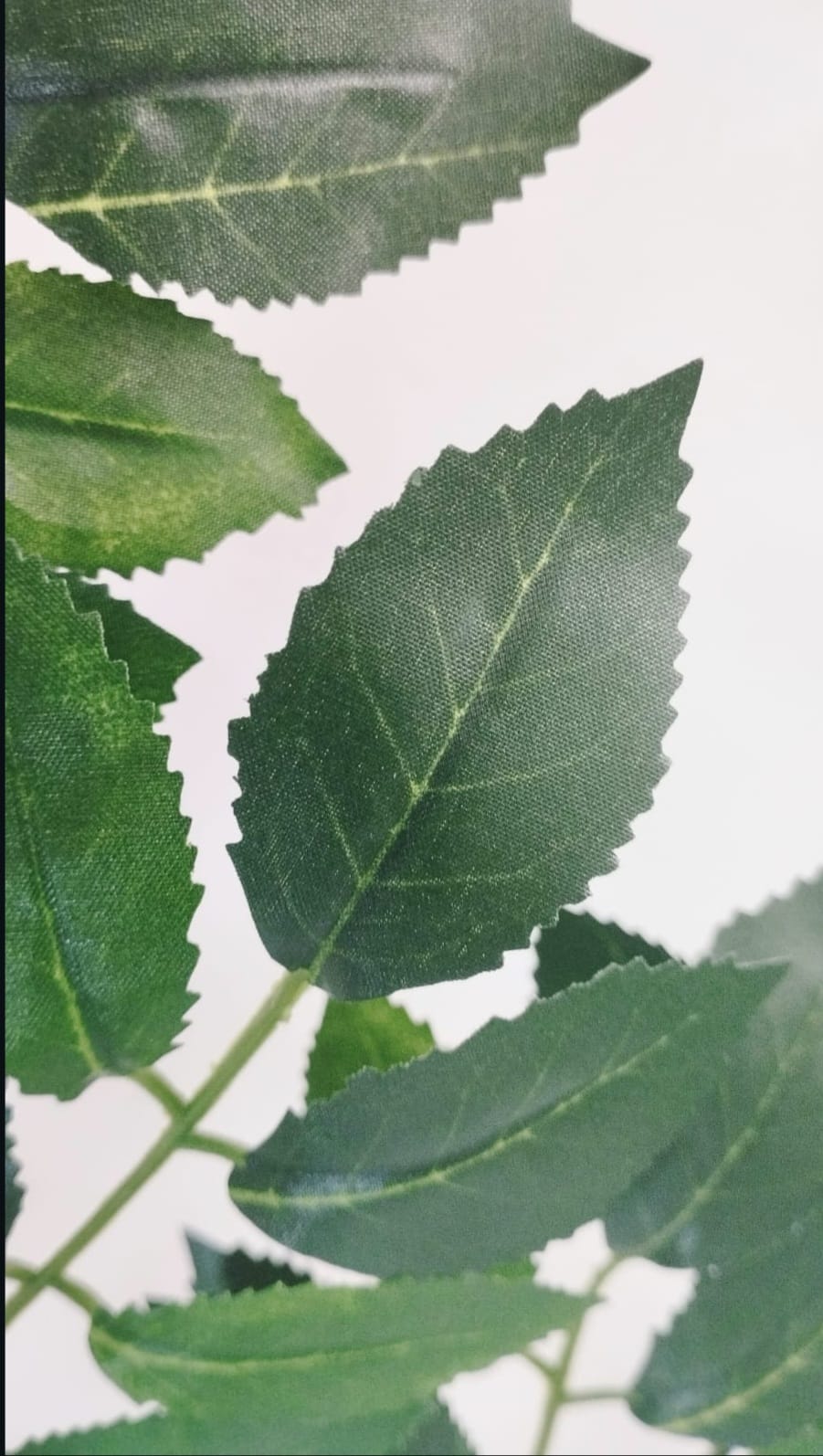 Hoja artificial Ficus Sierra