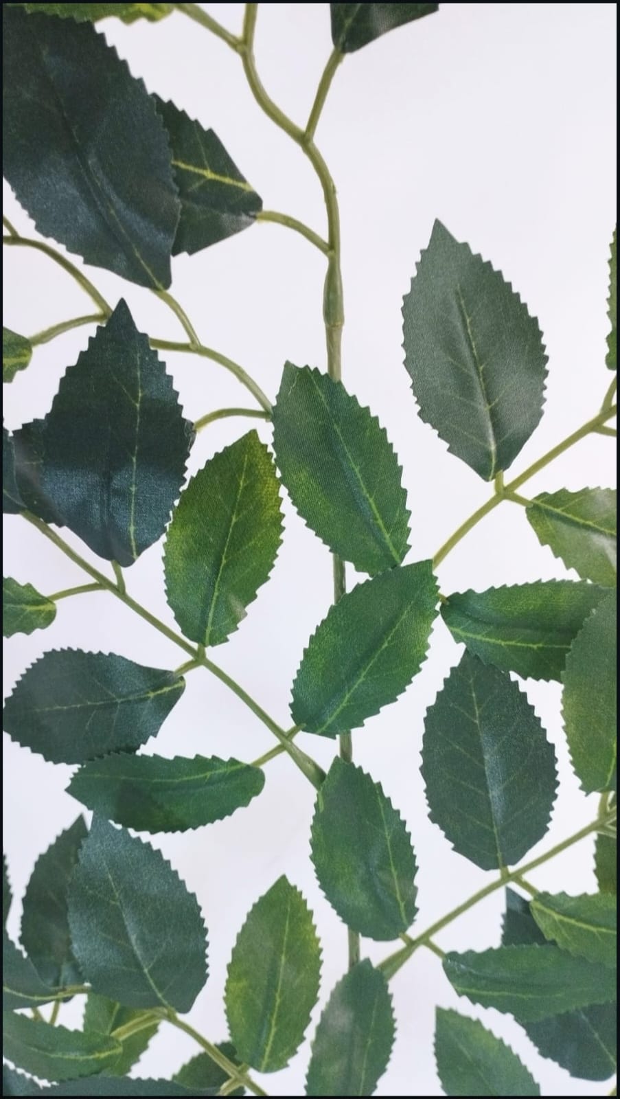 Hoja artificial Ficus Sierra