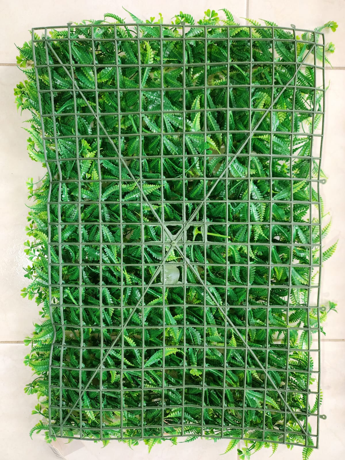 Jardin Vertical Follajes Variados