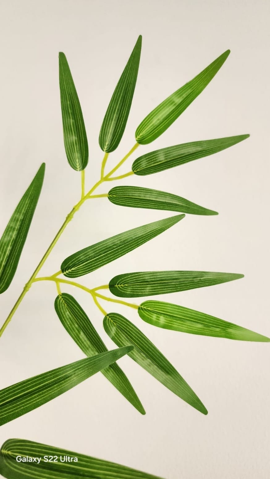 Hoja Artificial de Bambú