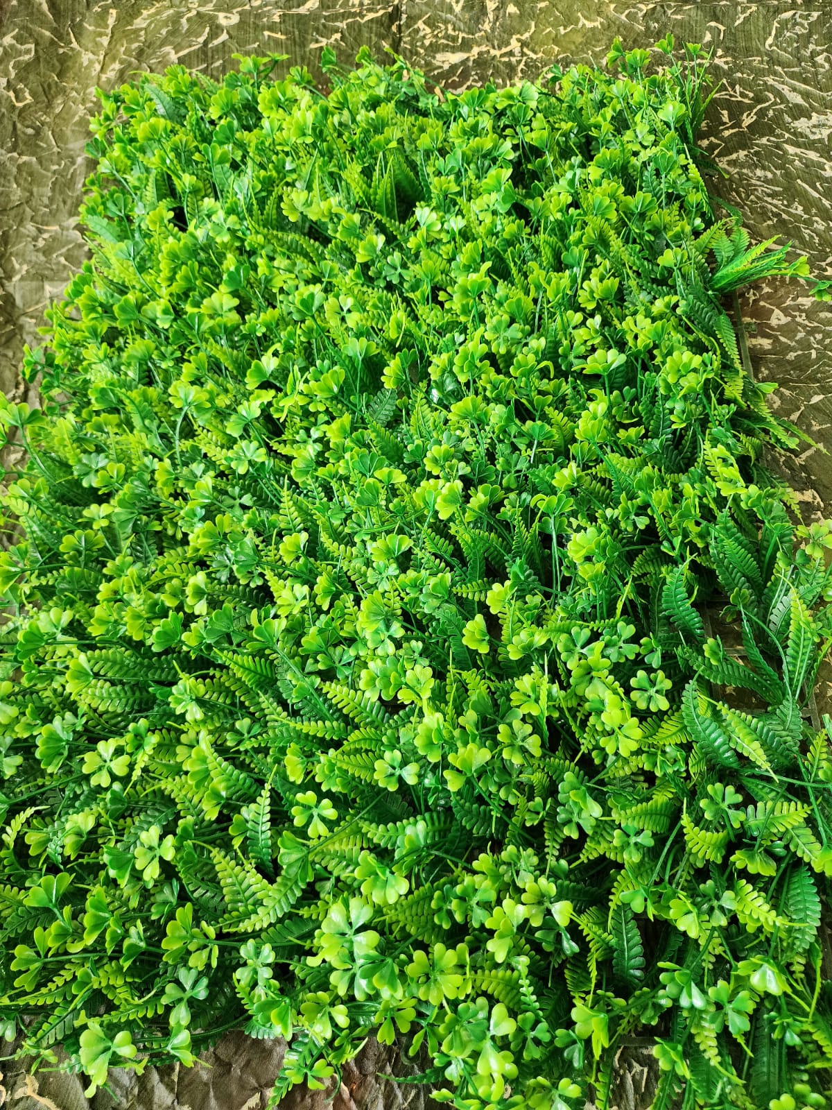 Jardin Vertical Follajes Variados