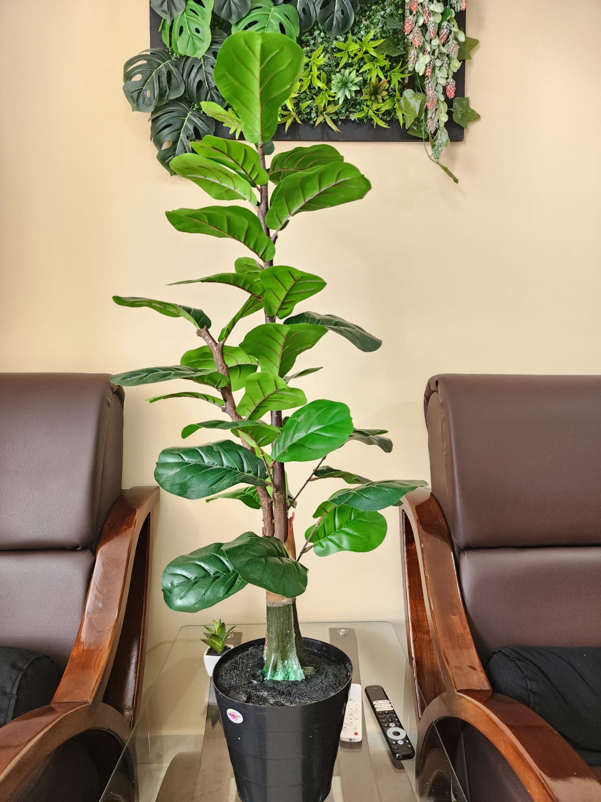 Planta Artificial Ficus Pandurata
