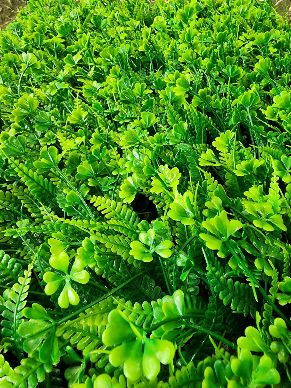 Jardin Vertical Follajes Variados