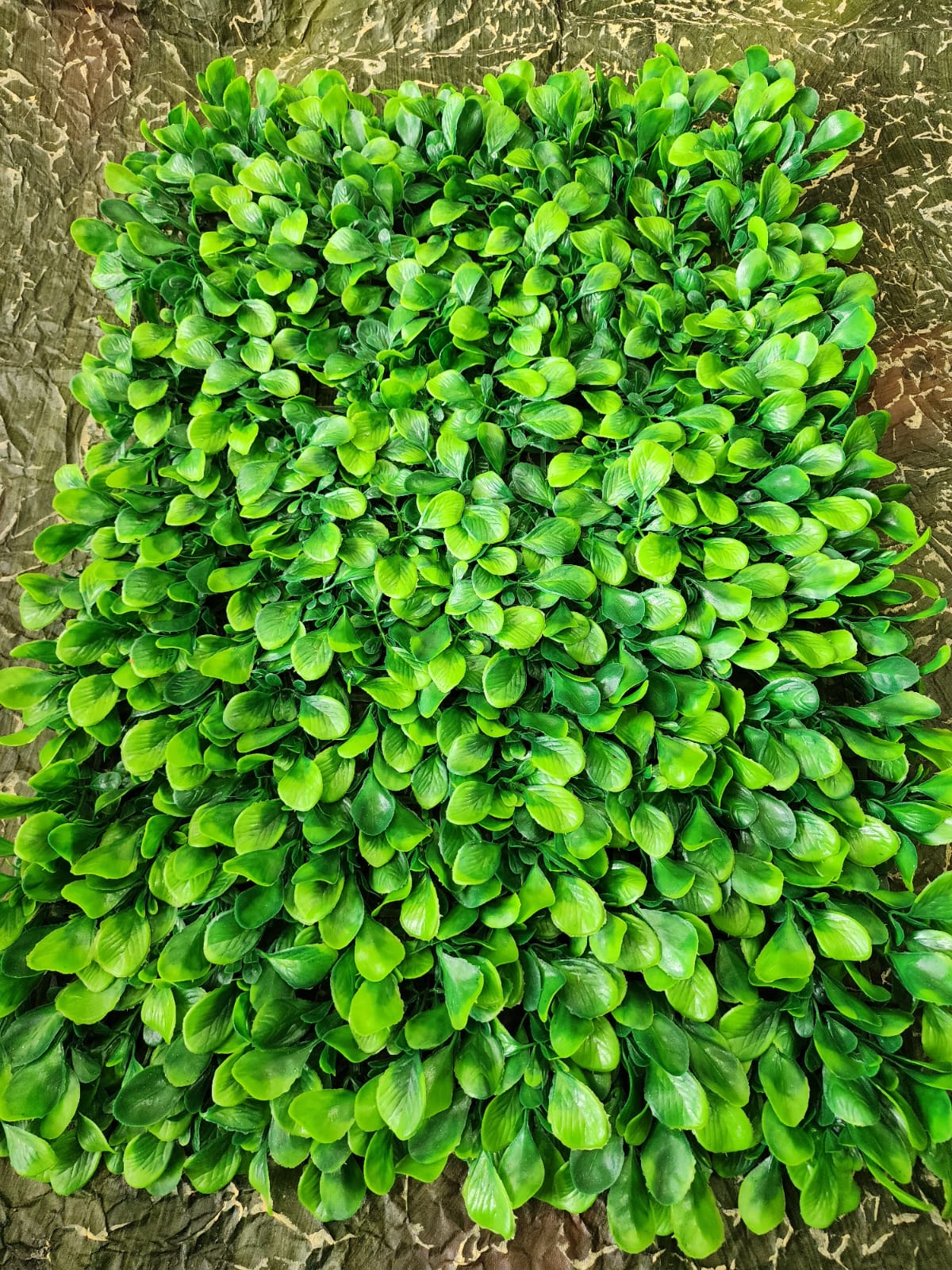 Jardín Vertical Hojas Grandes