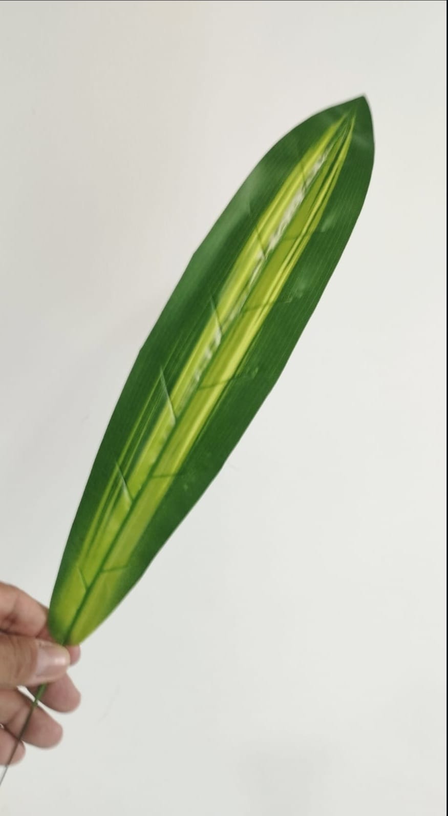 Hoja Artificial Lengua Suegra