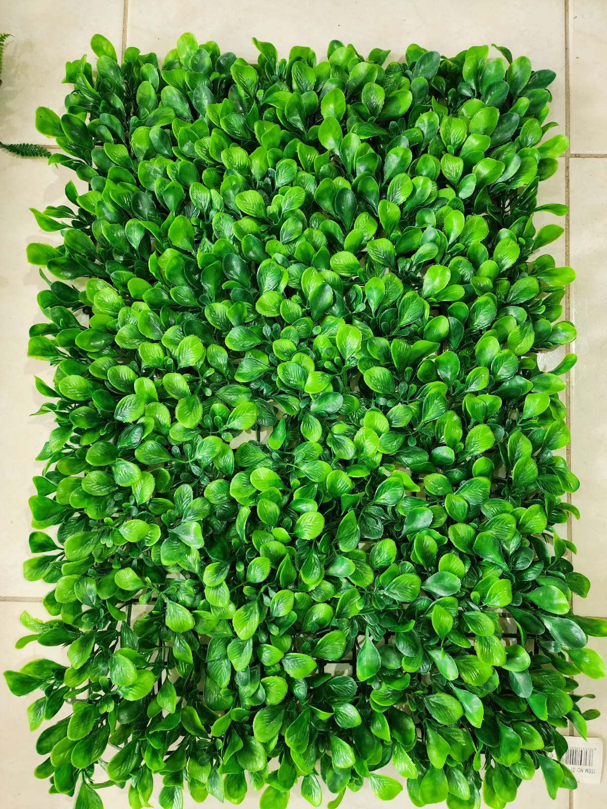 Jardín Vertical Hojas Grandes