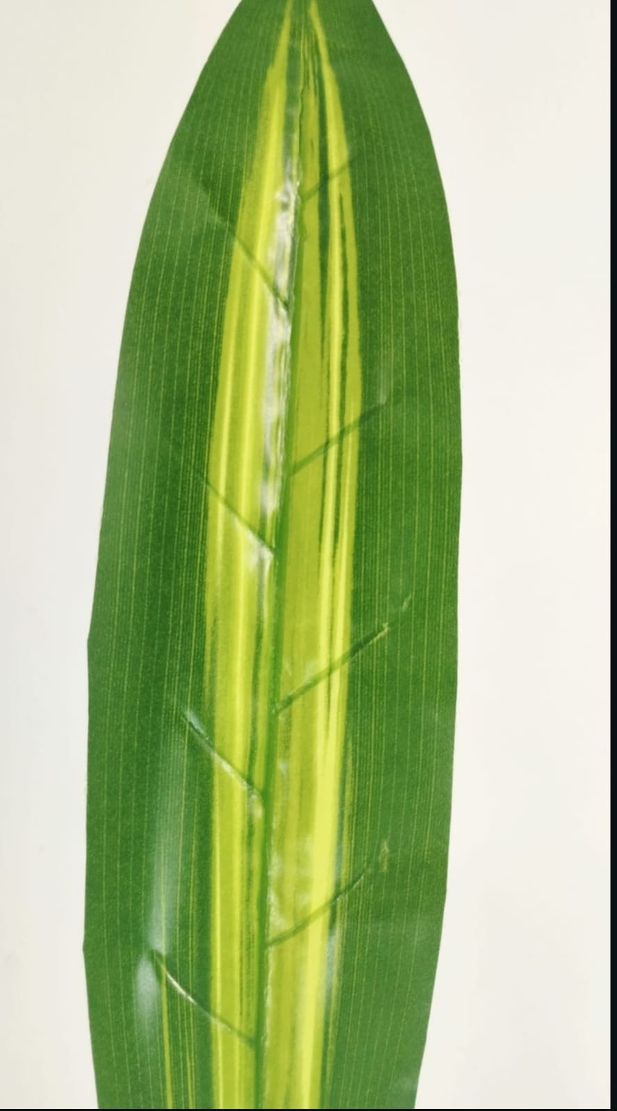 Hoja Artificial Lengua Suegra