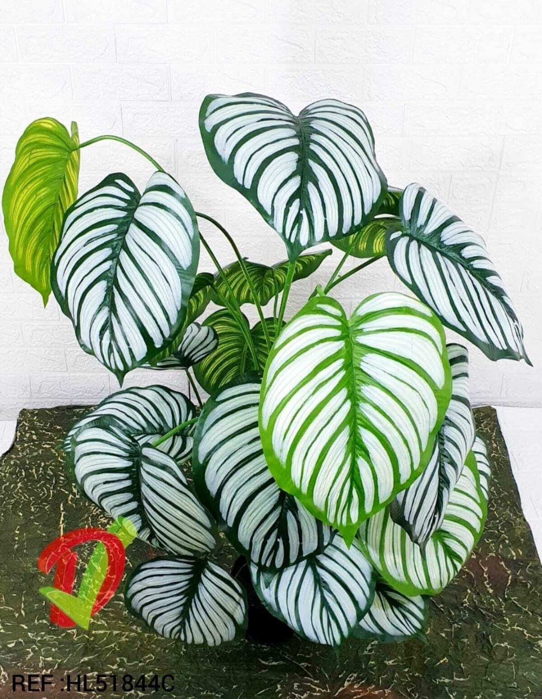 Planta Artificial Hoja Burro Rayas