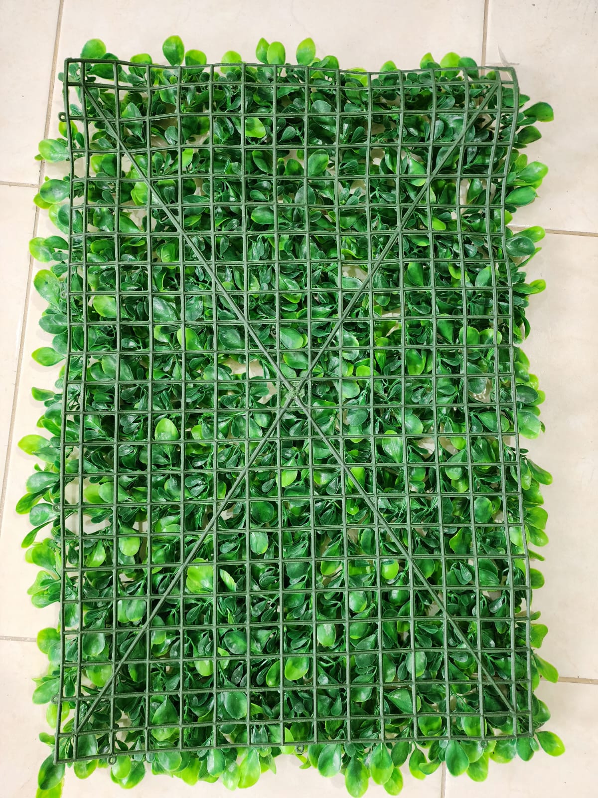 Jardín Vertical Hojas Grandes