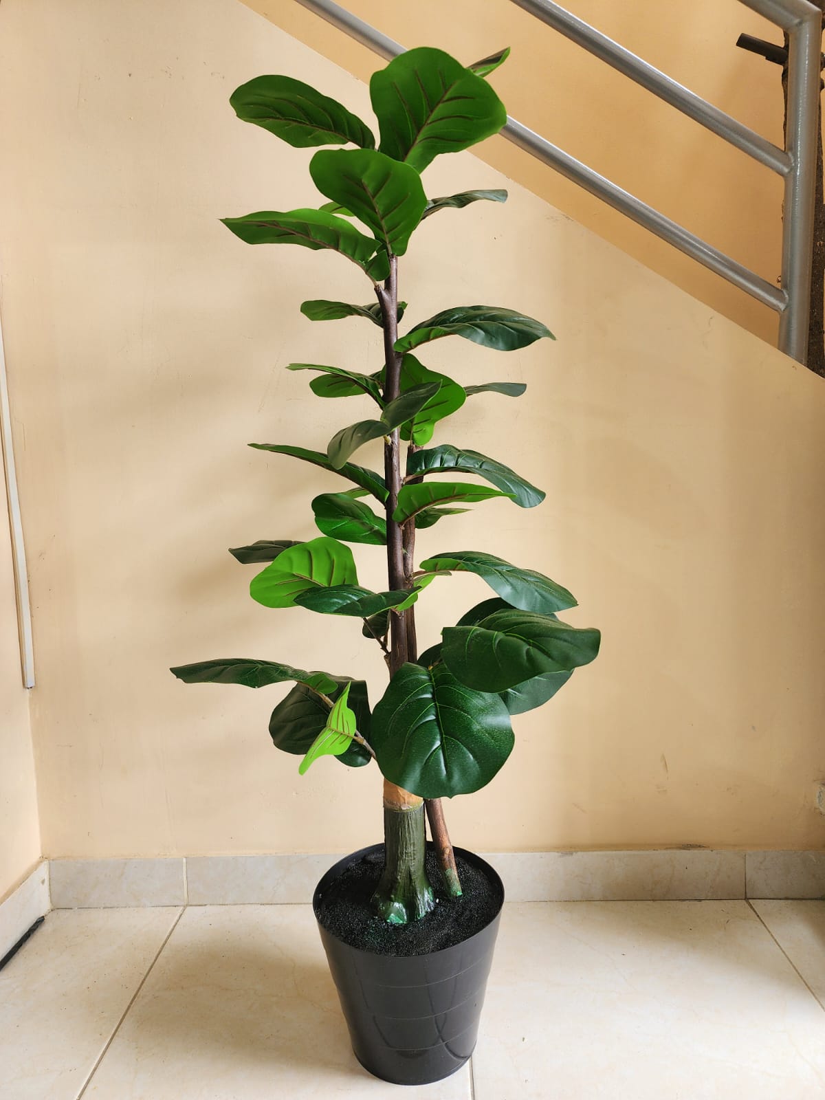 Planta Artificial Ficus Pandurata