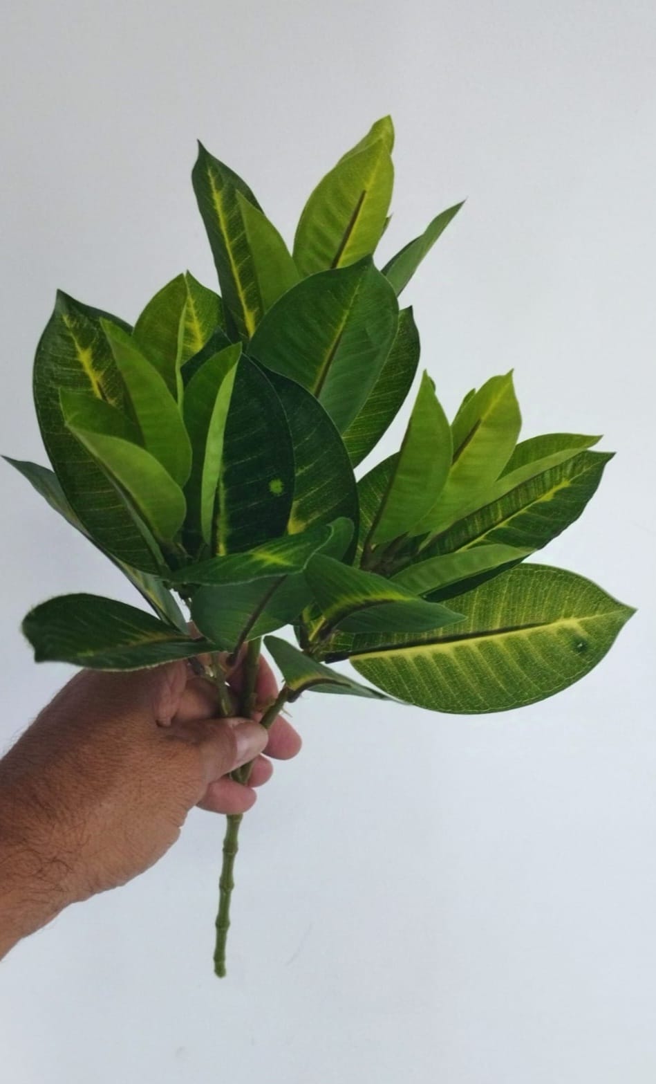 Ramo Ficus Artificial Follaje