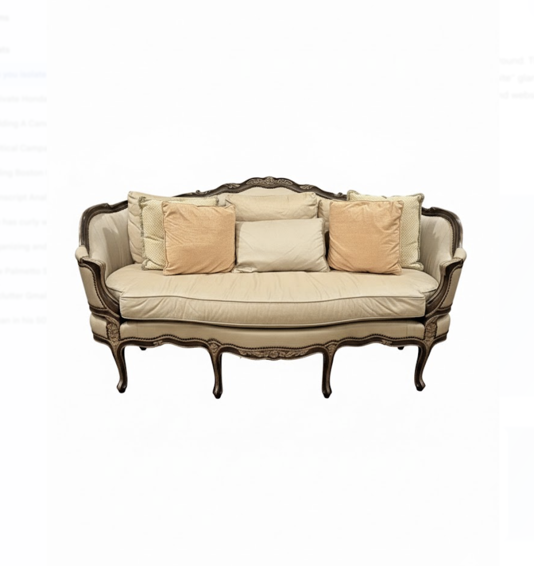 Louis XV Style French Provincial Bergère Settee