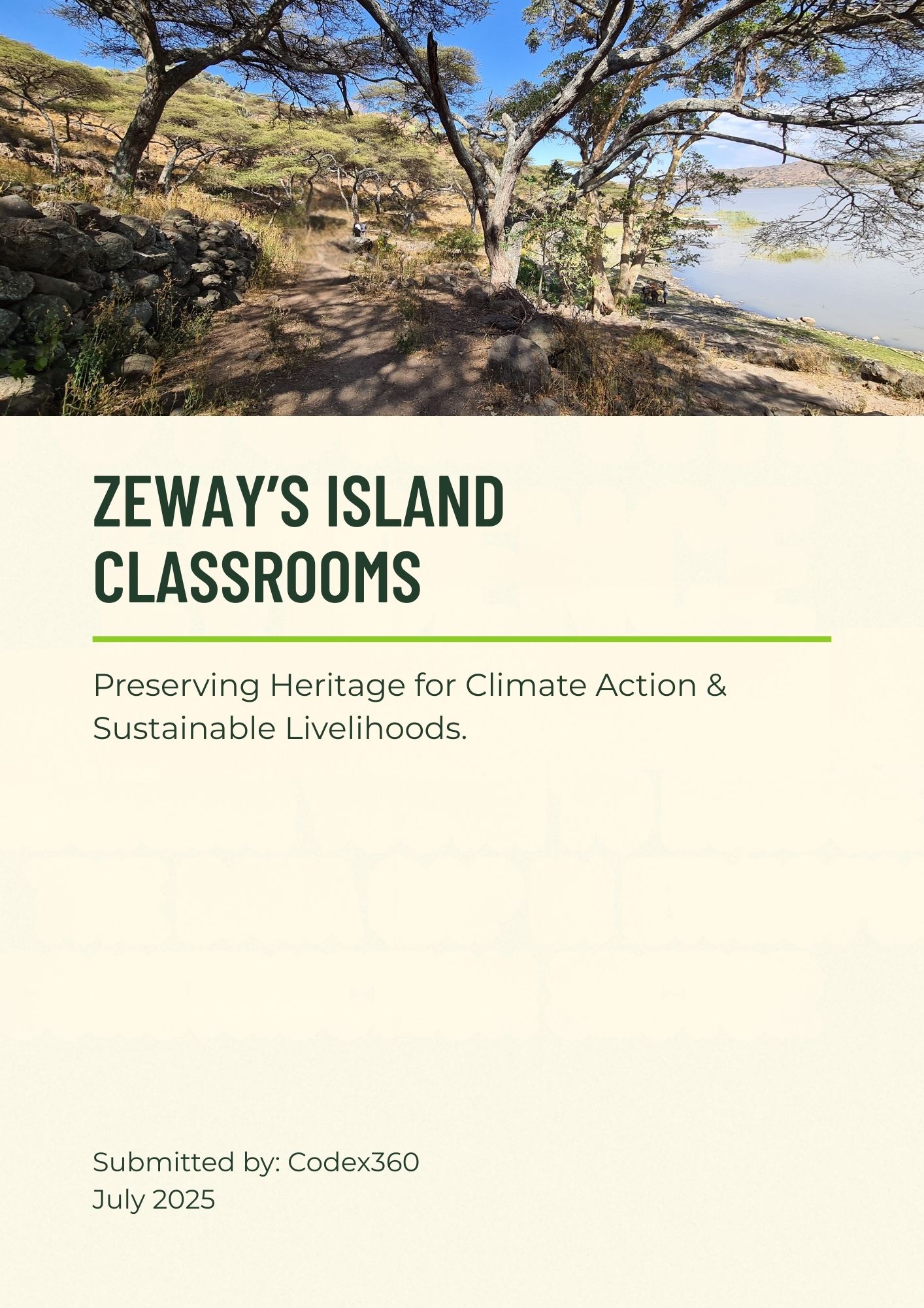 Zeway's Island Classrooms